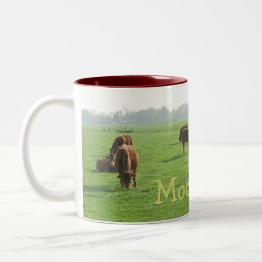 Brown schüchtert Tasse ein (Links)