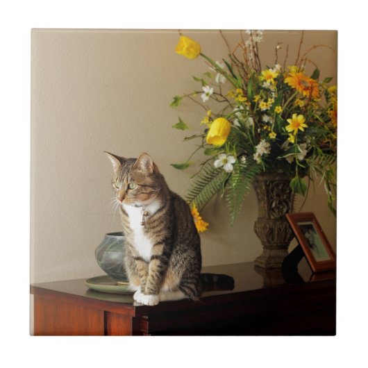 Brown schwarze Tabbykatze, die auf Klavier-Blumen Fliese (Vorderseite)