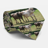 Brown-Schweizer-Krawatte Krawatte (Gerollt)