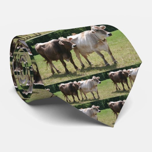 Brown-Schweizer-Krawatte Krawatte (Gerollt)