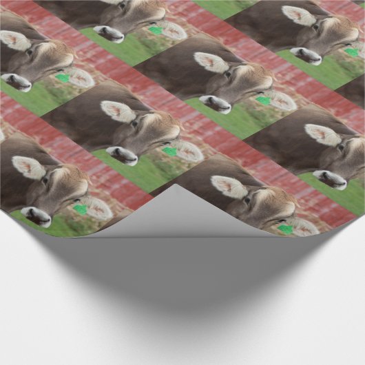 Brown-Schweizer-Kuh Geschenkpapier (Ecke)