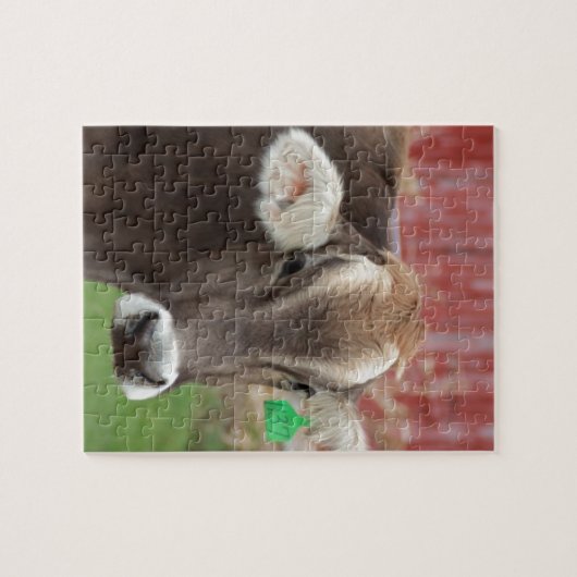 Brown-Schweizer-Kuh Puzzle (Horizontal)