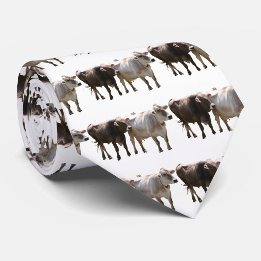 Brown-Schweizer-Kühe Krawatte (Gerollt)