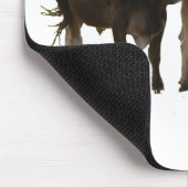 Brown-Schweizer-Kühe Mousepad (Ecke)