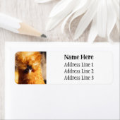 Brown Silkie Pet Chicken Rücksendeadresse (Insitu)