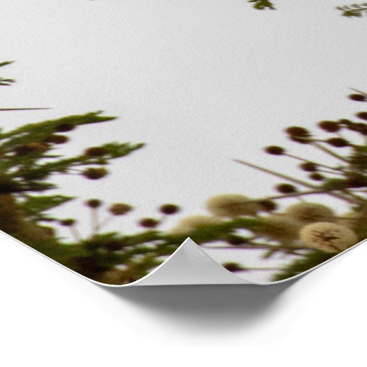 Brown Snake Eagle - Sentinel der Savanne Poster (Ecke)