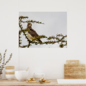 Brown Snake Eagle - Sentinel der Savanne Poster (Küche)