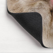 Brown Snow Monkey, japanische Fotografie Mousepad (Ecke)