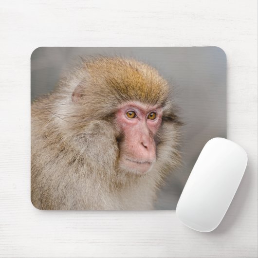 Brown Snow Monkey, japanische Fotografie Mousepad (Mit Mouse)