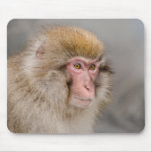 Brown Snow Monkey, japanische Fotografie Mousepad (Vorne)
