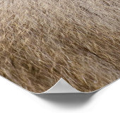 Brown Snow Monkey, japanische Fotografie Poster (Ecke)