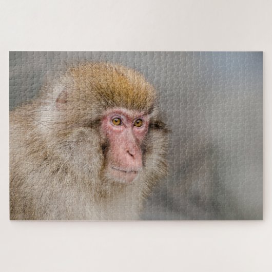 Brown Snow Monkey, japanische Fotografie Puzzle (Horizontal)