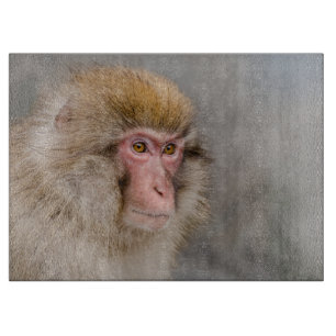 Brown Snow Monkey, japanische Fotografie Schneidebrett