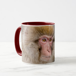 Brown Snow Monkey, japanische Fotografie Tasse