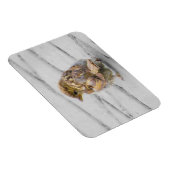 Brown Sparrow Magnet (Rechte Seite)