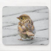 Brown Sparrow Mousepad (Vorne)