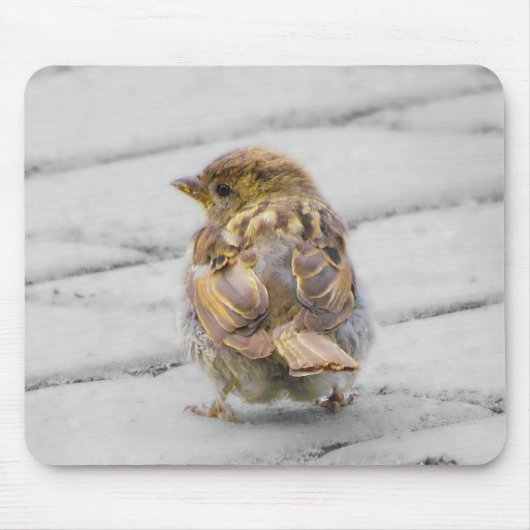 Brown Sparrow Mousepad (Vorne)