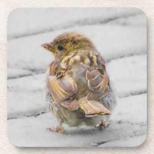 Brown Sparrow Untersetzer