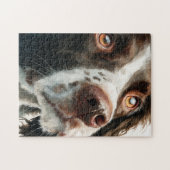 Brown springer spaniel portrait puzzle (Horizontal)