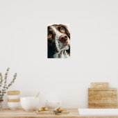 Brown springer spaniel  poster (Küche)