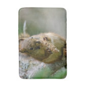Brown Squirrel Wildlife Photography Badematte (Vorderseite Vertikal)