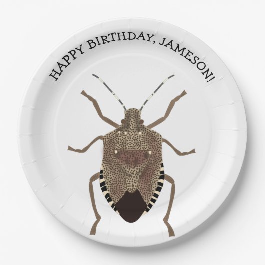 Brown Stink Bug Illustration Personalisiertes Part Pappteller (Vorderseite)