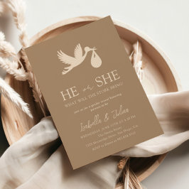 Brown Stork Baby Delivery He or she Gender Reveal Einladung