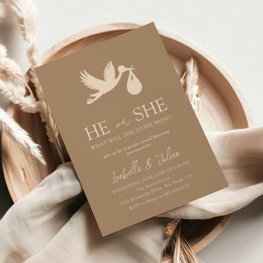 Brown Stork Baby Delivery He or she Gender Reveal Einladung