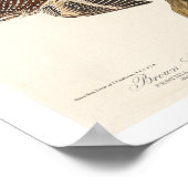 Brown Strampler and Californian Nuthatch by Audubo Poster (Ecke)