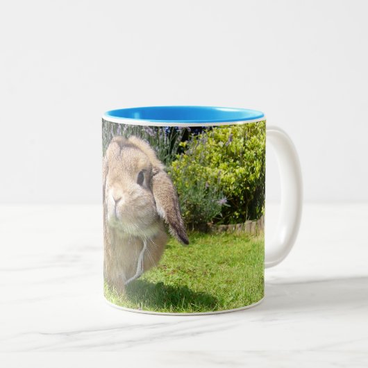 Brown stutzte Ohrkaninchen mit Lavendel Zweifarbige Tasse (VorderseiteRechts)