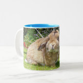 Brown stutzte Ohrkaninchen mit Lavendel Zweifarbige Tasse (Vorderseite Links)