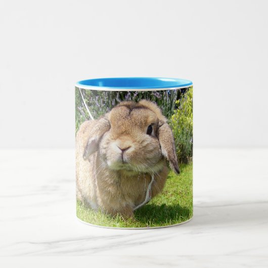 Brown stutzte Ohrkaninchen mit Lavendel Zweifarbige Tasse (Mittel)