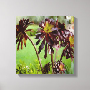 Brown sukculent leinwanddruck