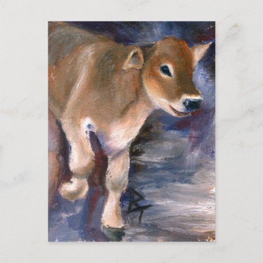 Brown Swiss Calf Postkarte (Vorderseite)
