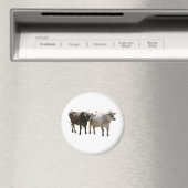 Brown Swiss Cows Magnet (In Situ (Geschirrspüler))