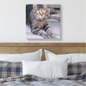 Brown Tabby Cat Außenbereich Leinwanddruck (Insitu (Schlafzimmer))