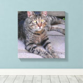 Brown Tabby Cat Außenbereich Leinwanddruck (Insitu (Holzboden))