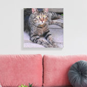 Brown Tabby Cat Außenbereich Leinwanddruck (Insitu (Wohnzimmer))
