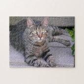 Brown Tabby Cat Außenbereich Puzzle (Horizontal)