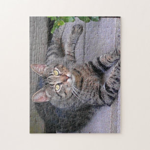 Brown Tabby Cat Außenbereich Puzzle