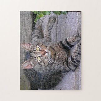 Brown Tabby Cat Außenbereich Puzzle