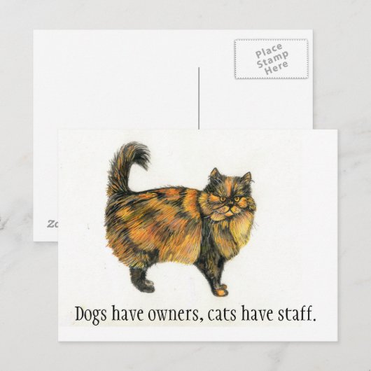 Brown Tabby Cat Postcard Postkarte (Vorne/Hinten)