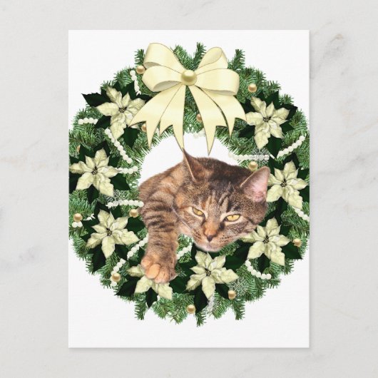 Brown tabby Christmas Feiertagspostkarte (Vorderseite)