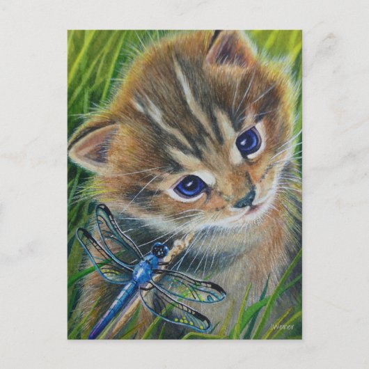 Brown Tabby Kitten & Dragonfly Postkarte (Vorderseite)