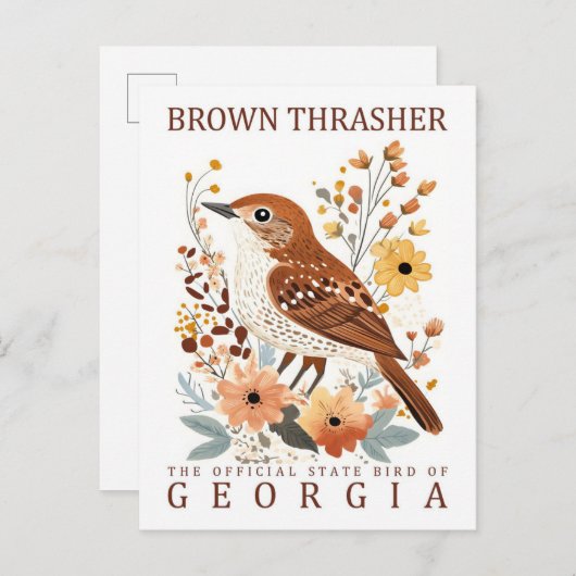 Brown Thrasher Bird of Georgia USA Travel Postkarte (Vorne/Hinten)
