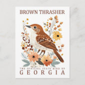 Brown Thrasher Bird of Georgia USA Travel Postkarte (Vorderseite)