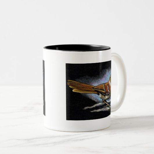 BROWN THRASHER im Farbbleistift: Kunst Zweifarbige Tasse (VorderseiteRechts)