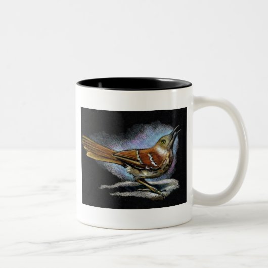 BROWN THRASHER im Farbbleistift: Kunst Zweifarbige Tasse (Rechts)
