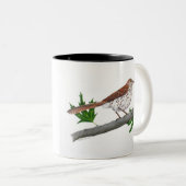 Brown Thrasher Inspiration Tasse (VorderseiteRechts)