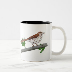 Brown Thrasher Inspiration Tasse